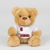 Bear in a t-shirt Thumbnail